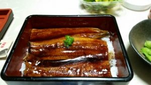 土用の丑の日に鰻たべましたか？