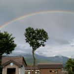 疲れた心を癒してもらえました。