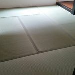 お盆の後は魚沼市小出まつりそして秋がやってきます。