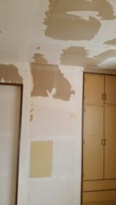 南魚沼市でクロス・クッションフロア・畳の張り替えを頑張っています。