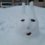 新年明けましておめでとうございます!