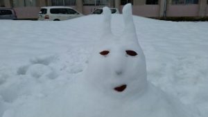 新年明けましておめでとうございます!